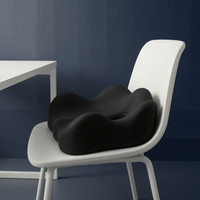 Coussin Lombaire Assise Mémoire de Forme Orthopédique