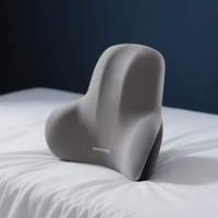 Coussin Lombaire Gris 2-en-1 Mémoire de Forme Orthopédique